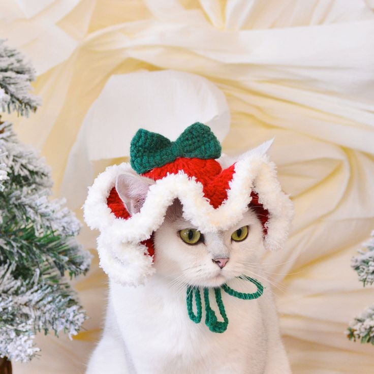 crochet a hat for a cat